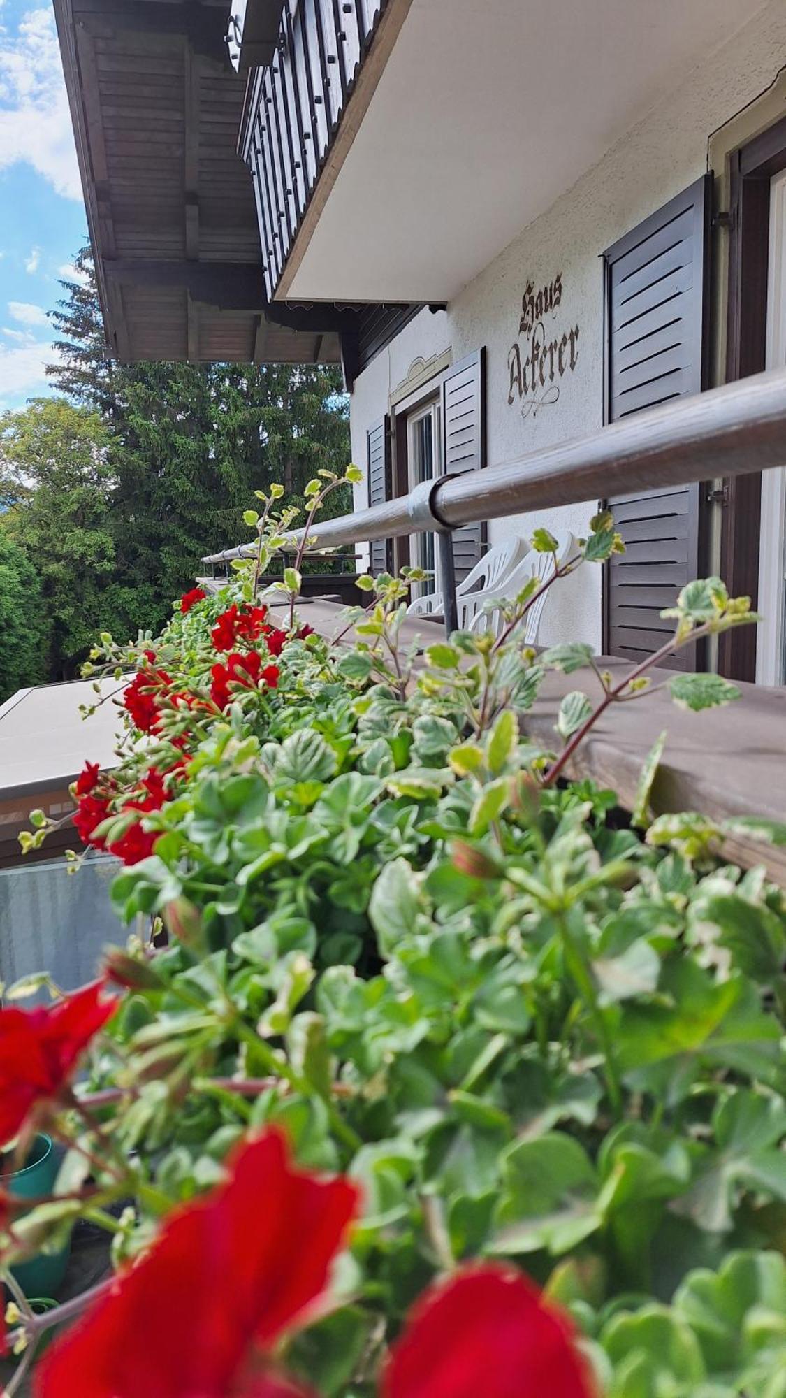Haus Ackerer Apartamento Leogang Exterior foto